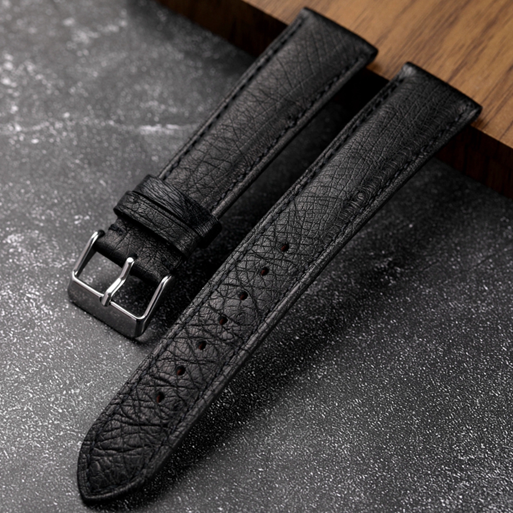 Handmade South African Ostrich - đánh giá và giá Nato Strap Nylon