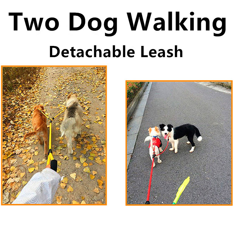 Dog Leash Double Leashes for D - đánh giá và giá Leather Strap Quick Release